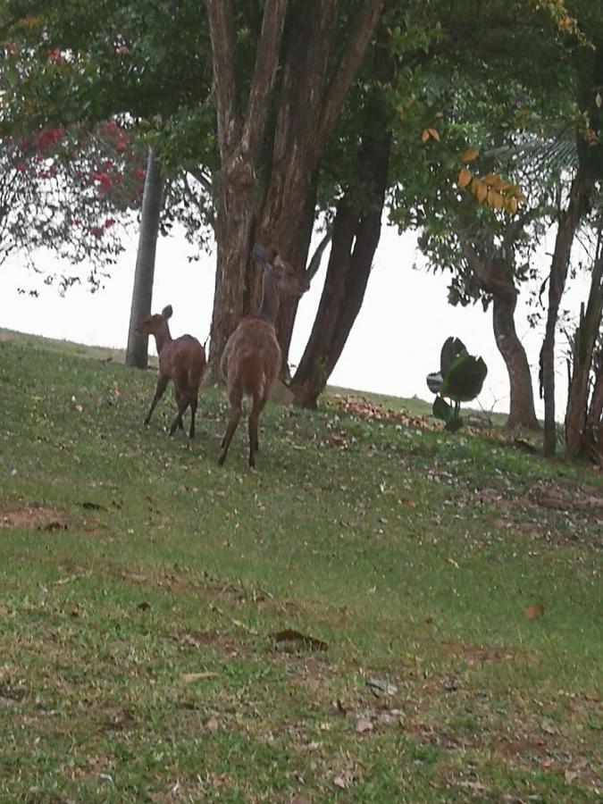 Dagama Dam - White River - Kestrel - House 21 Bagian luar foto